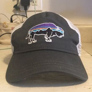 Patagonia Women's Fitz Roy Bison Trucker Hat